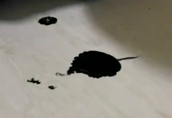 自清潔前 自清潔前